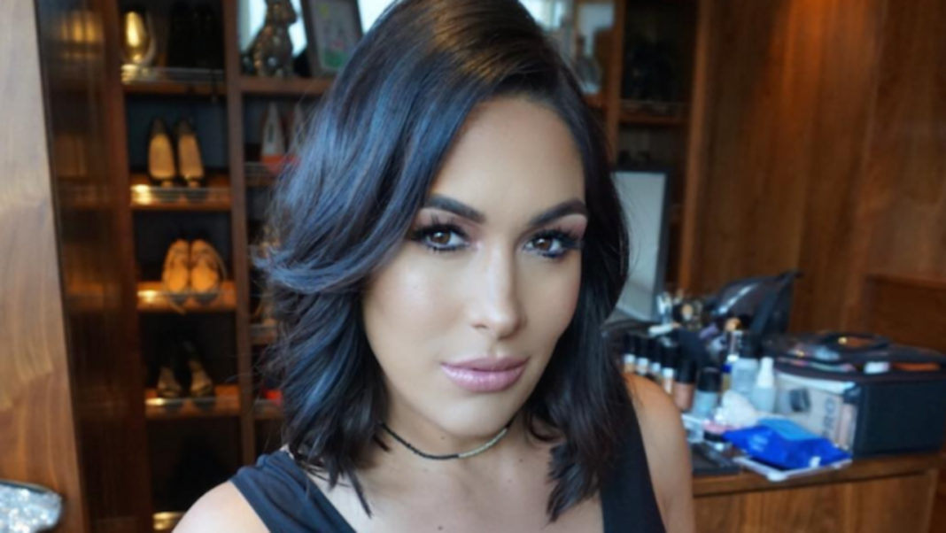 Latest Updates: Brie Bella, The Rock, RAW, Most Wanted Treasures, and More