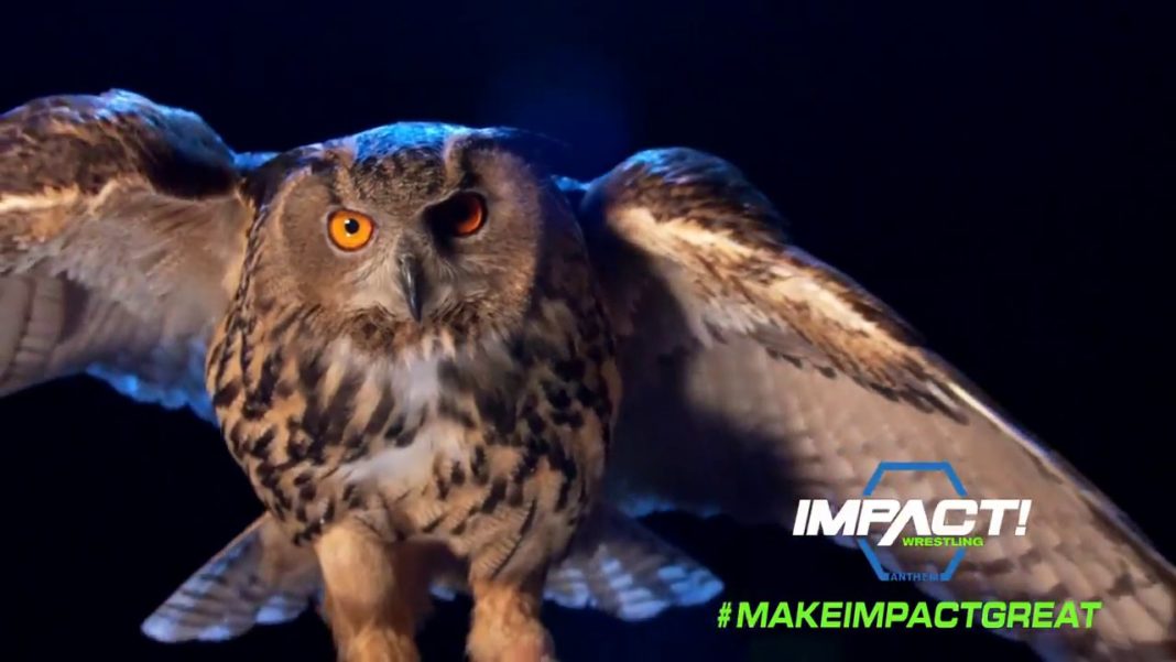 impact wrestling owl