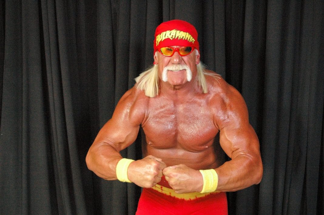 Hulk Hogan On Smarks Say He Put Anybody Over - eWrestlingNews.com