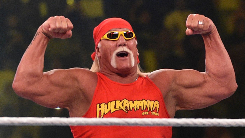 Hulk Hogan Shows off Photo of Hardware Removed From his Back - eWrestlingNews