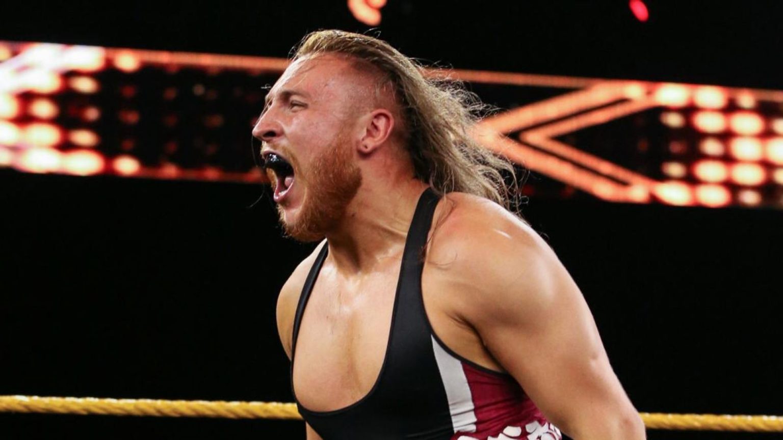 why pete dunne is enchanted by birds