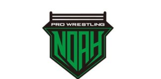pro wrestling noah