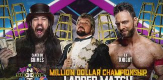NXT Takeover ladder match