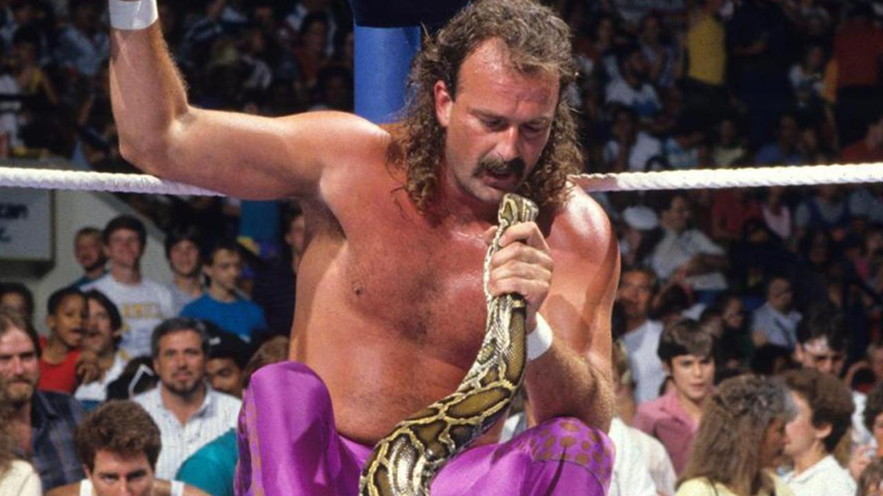 Ted DiBiase Sr. didn’t find it distressing when Jake Roberts placed a snake on him.