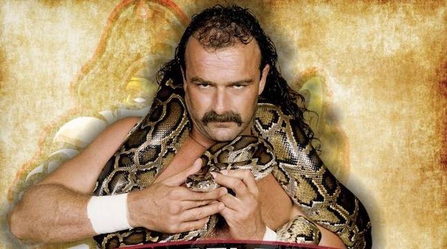 Jake Roberts Discusses Hercules’ Struggles with Substance Abuse