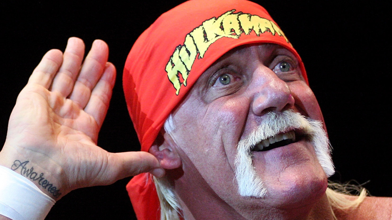 Hulk Hogan Praises The Miz For Keeping The Art Form Of Wrestling Alive ...