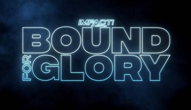 Analysis of the Impact Bound For Glory Event and Vince McMahon’s Victory over Chris Jericho on a Flight