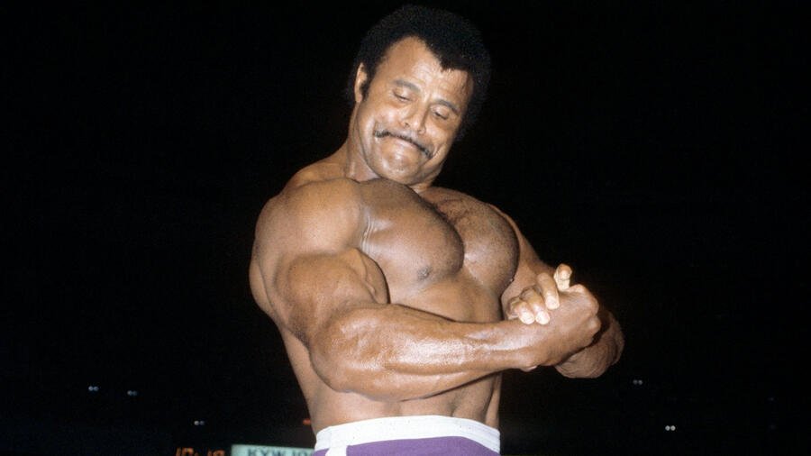Assessing Jake Roberts’ Perspective on Rocky Johnson’s In-Ring Skills and Cartoon Persona