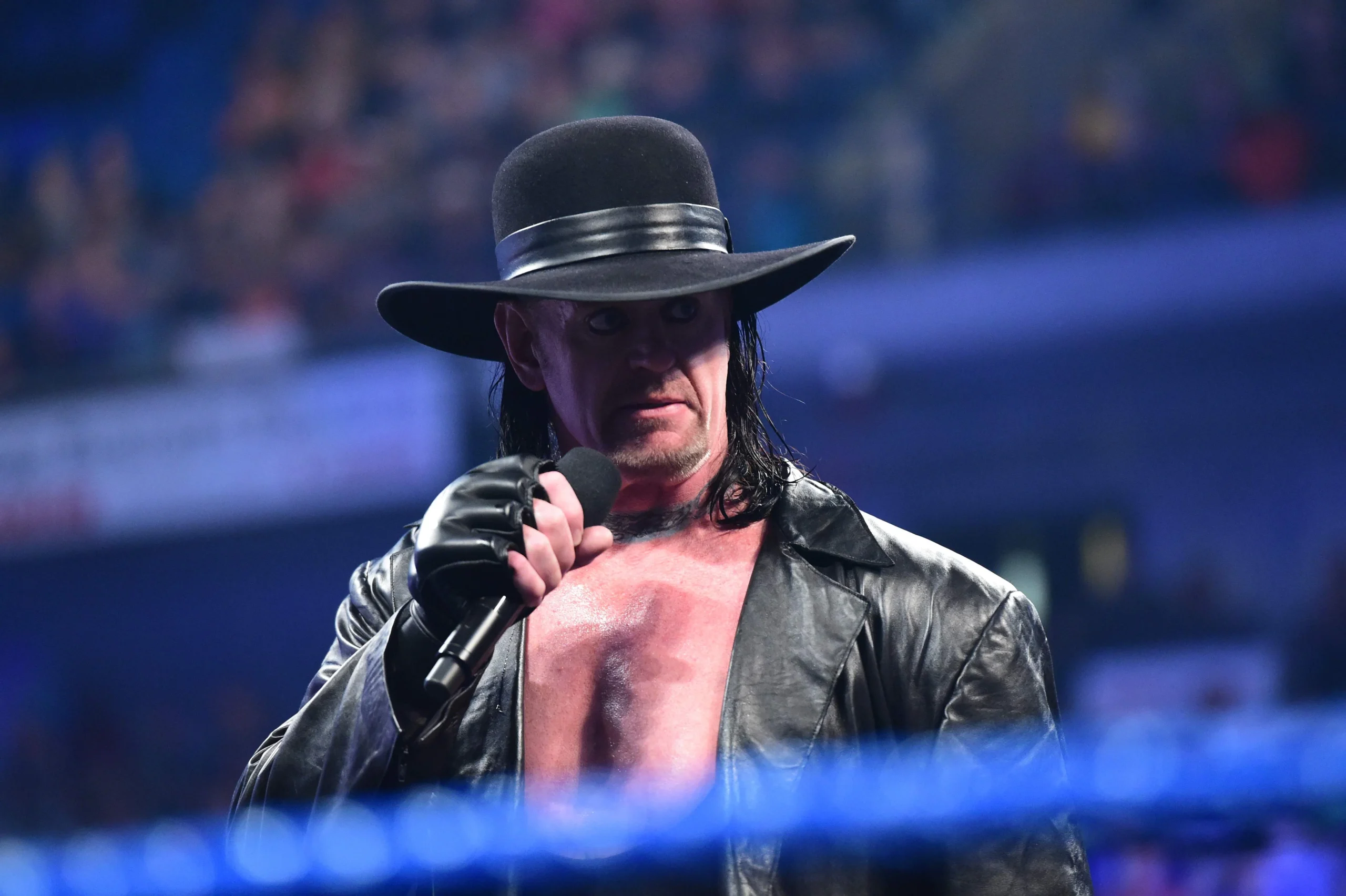 Undertaker Extols Triple H, Hailing Him as a Beloved Adversary