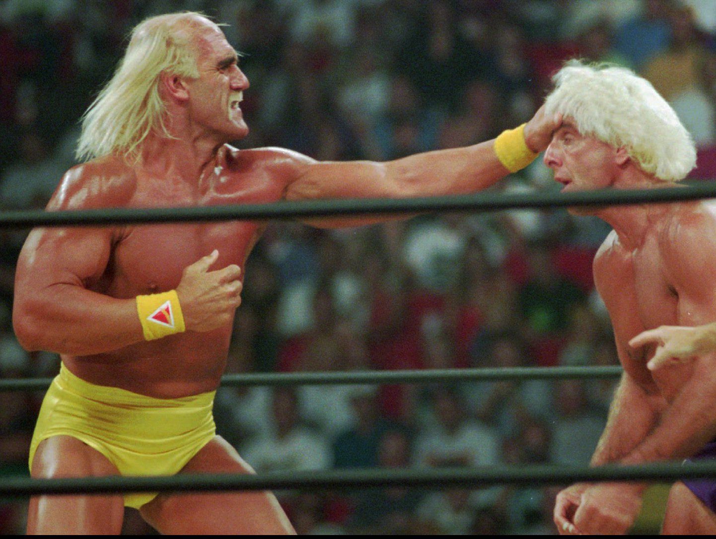 Arn Anderson shares memories of the iconic Ric Flair vs. Hulk Hogan match at WCW Halloween Havoc