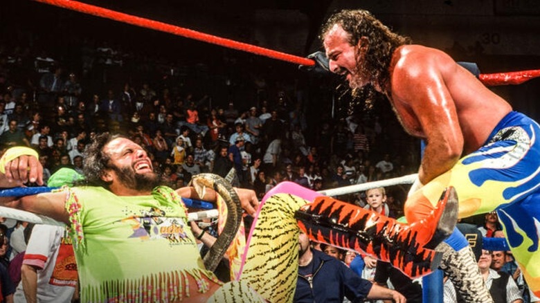 Former Wrestler Jake Roberts Claims Randy Savage Believed His Snake Poisoned Him